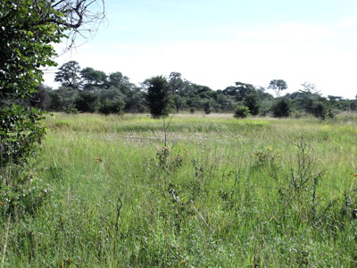 Flood area